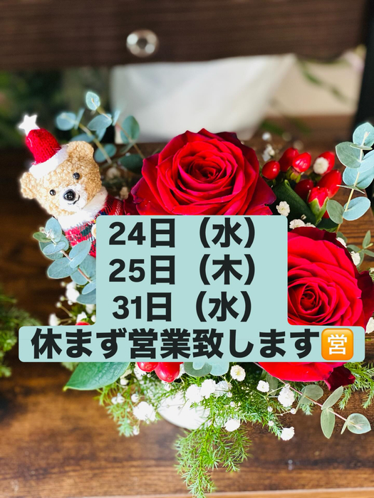 画像263
