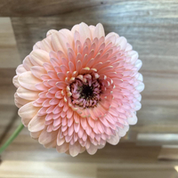 画像307