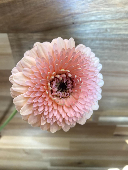 画像307