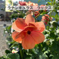 画像360