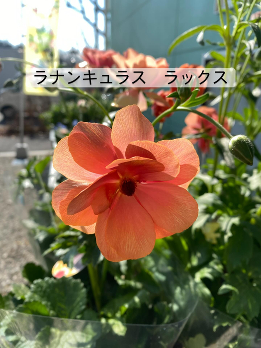 画像360
