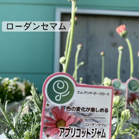 画像361