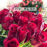 画像368