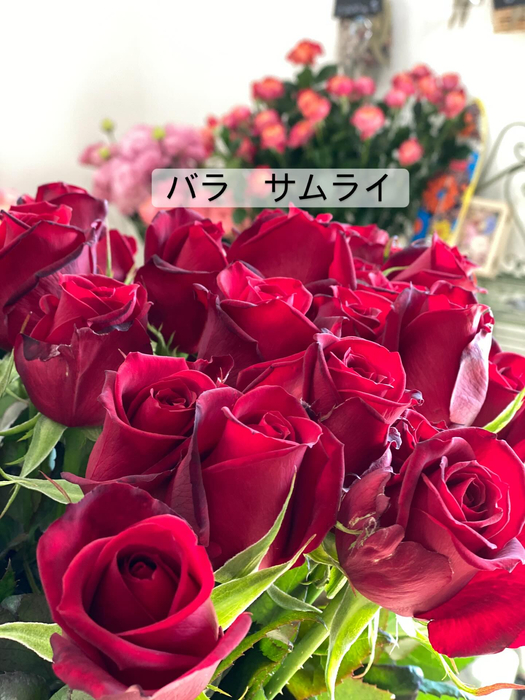 画像368