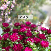 画像369