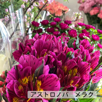 画像370