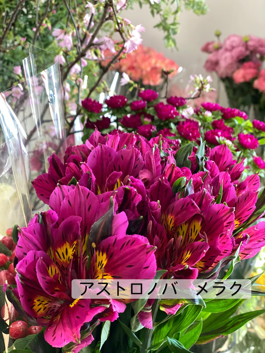 画像370