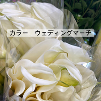画像371