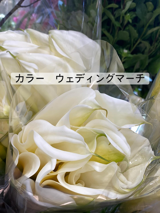 画像371