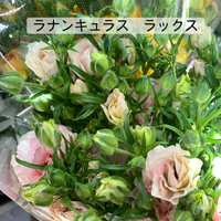 画像372