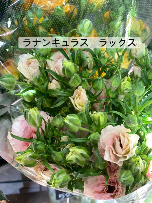 画像372