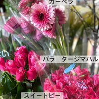画像374