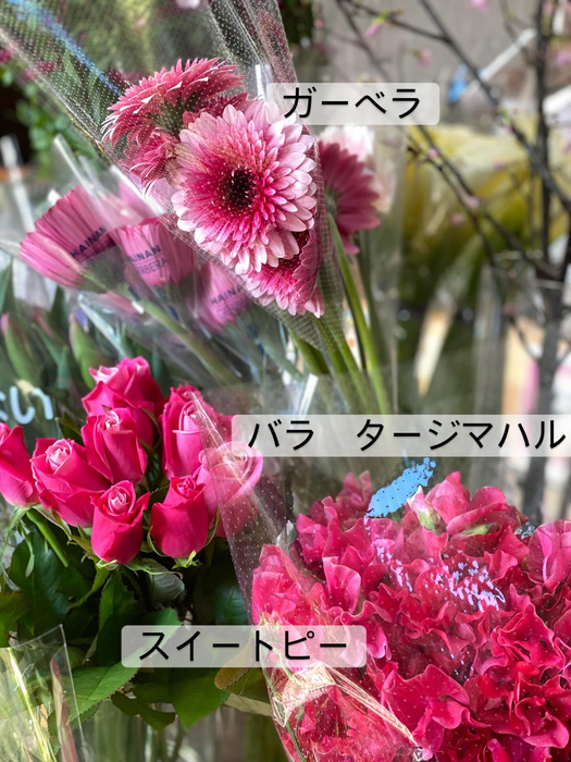 画像374