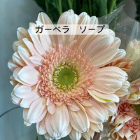 画像377