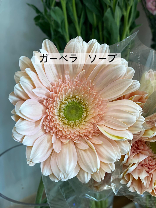 画像377