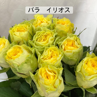 画像378
