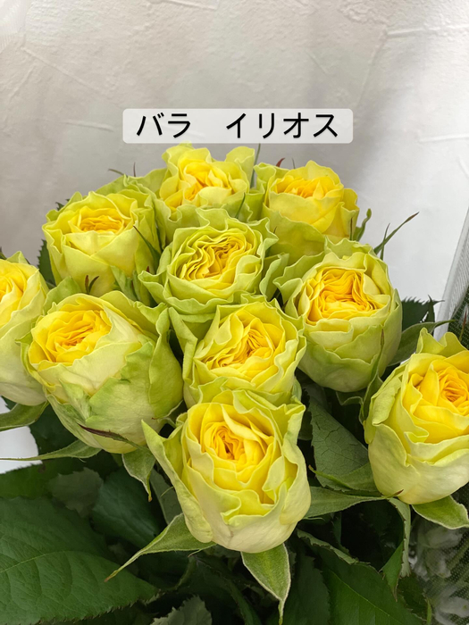 画像378