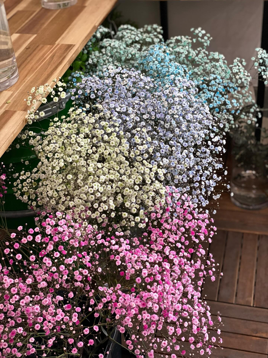 画像413