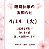 画像503