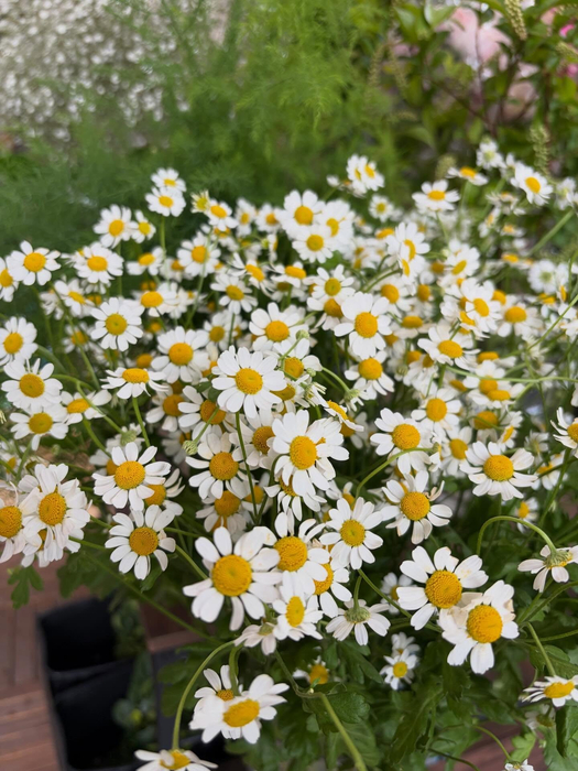 画像534