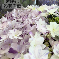 画像548