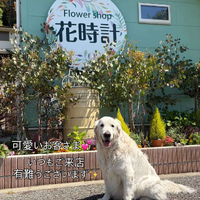 画像564