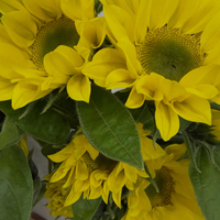 画像565