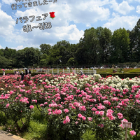 画像571