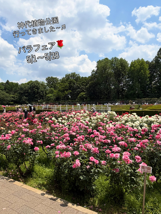 画像571
