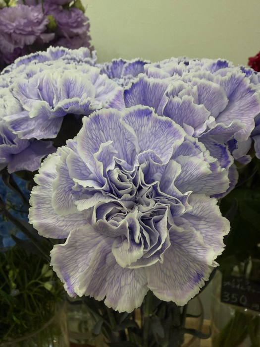 画像649
