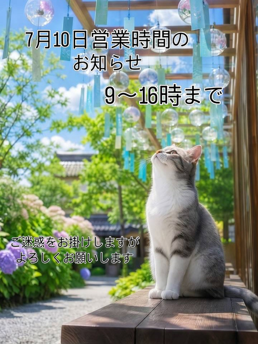 画像676