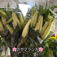 画像696