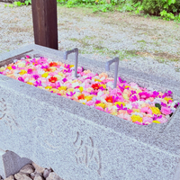 画像795