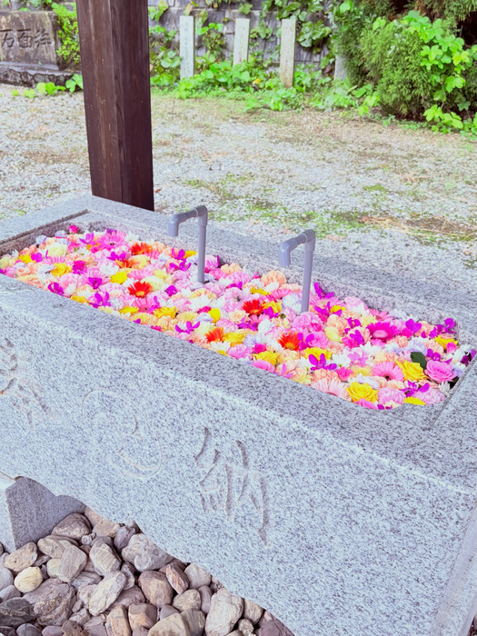画像795