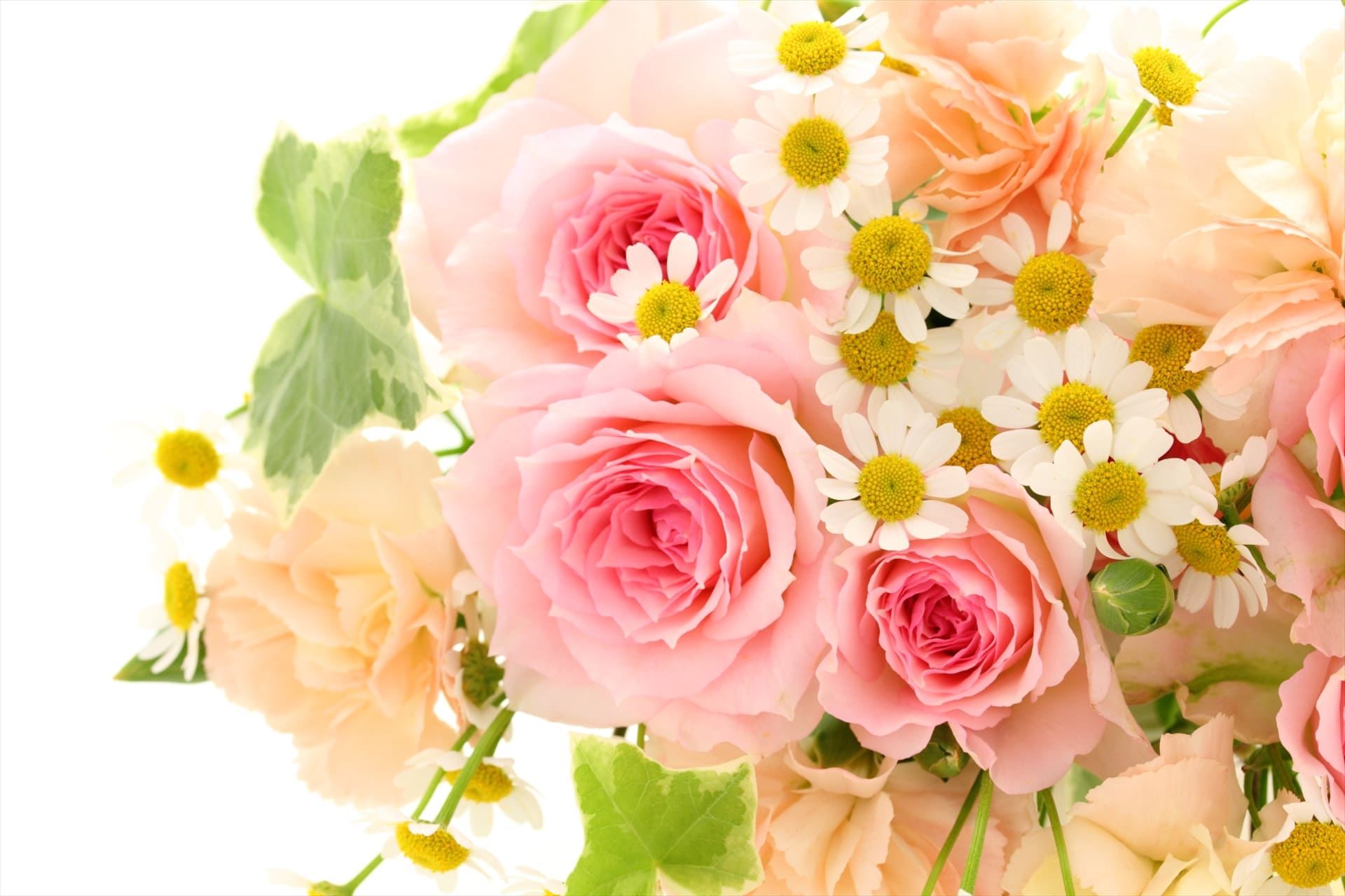 お祝い用の花を販売 | 東京都日の出町の花屋ならフラワーショップ花時計