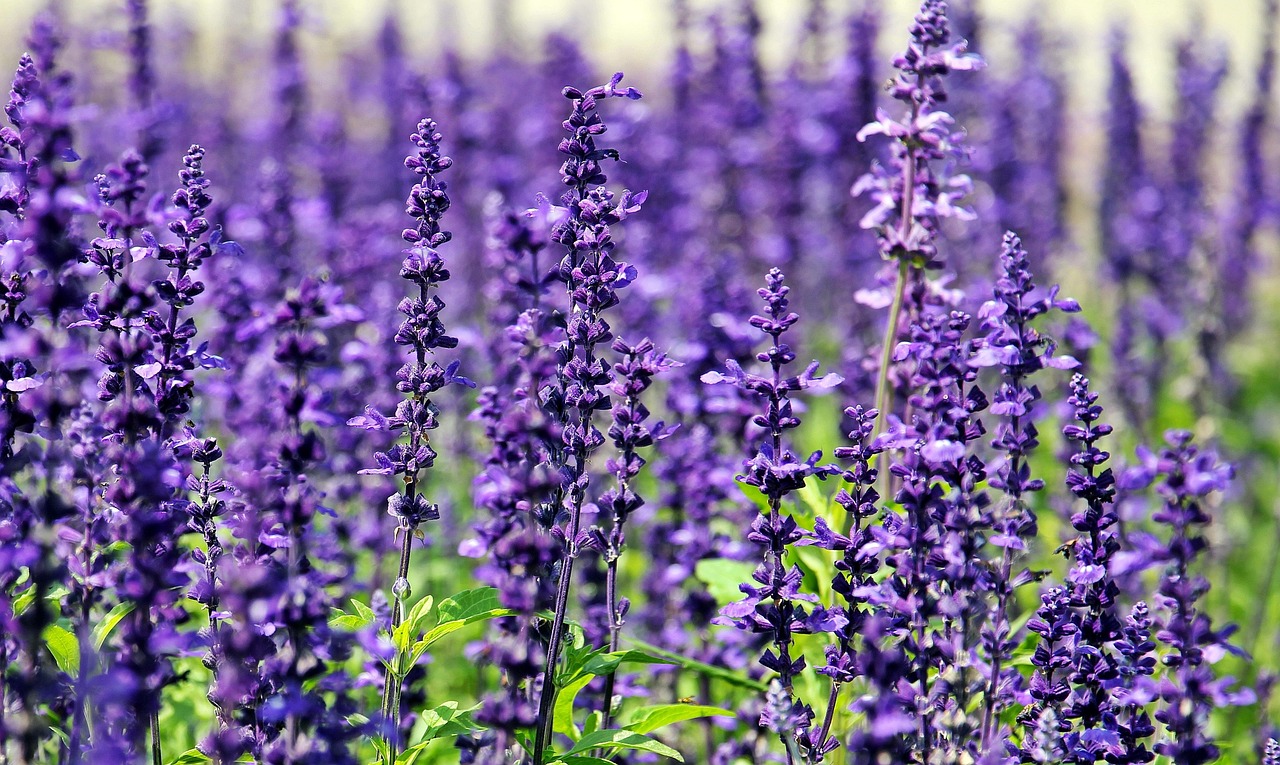 「大切な人のための仏花、心を込めたお参りを」