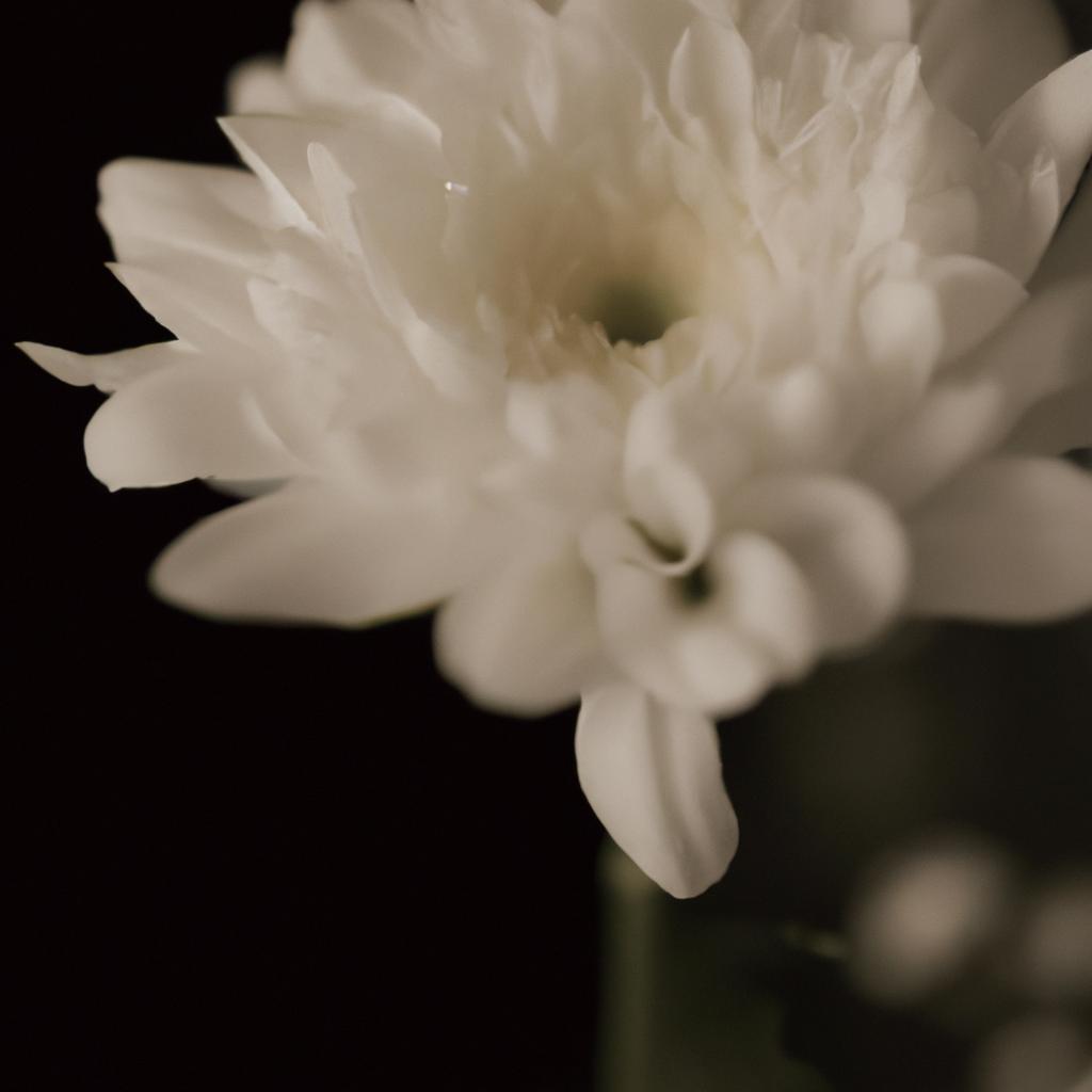 感謝の気持ちを伝える花言葉